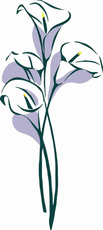 Elegant Calla Lily Bouquet Illustration vector