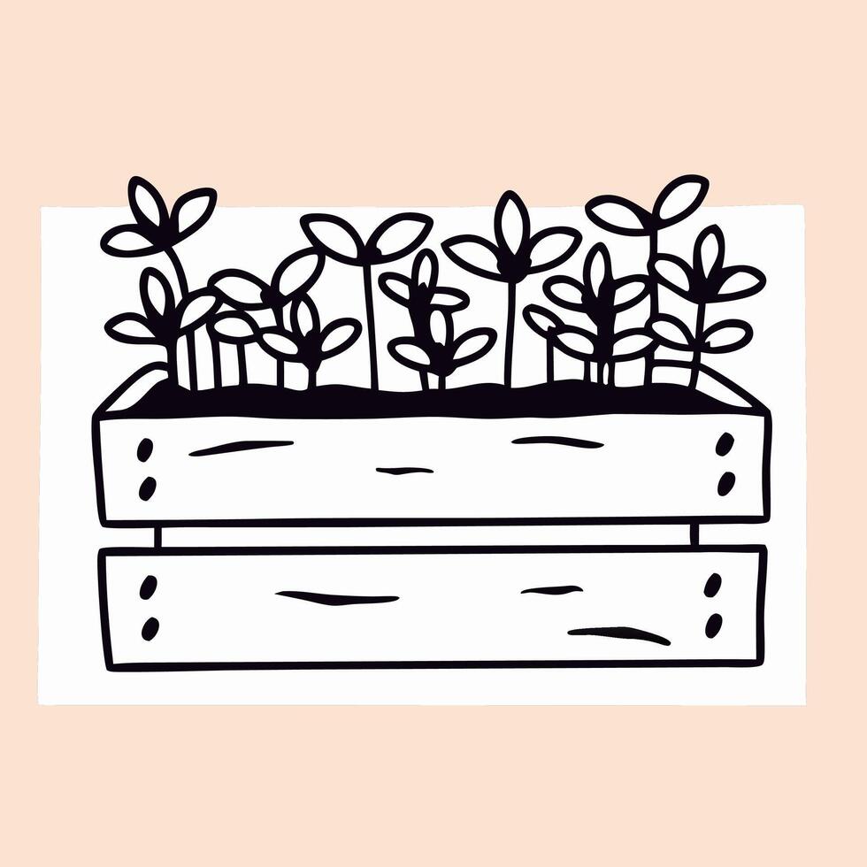 Wooden Planter Box with Herbs and Flowers vector