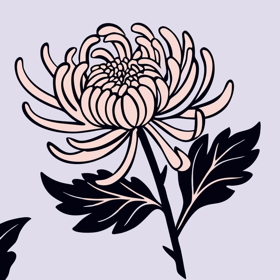 Pink Chrysanthemum Flower Illustration, Floral Design Element vector