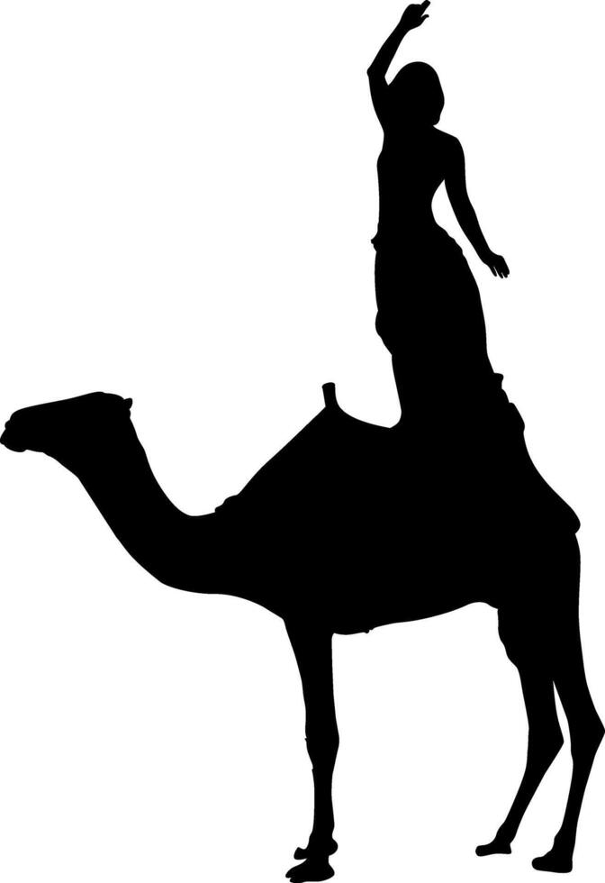 Silhouette of a person riding a camel with arm raised vector