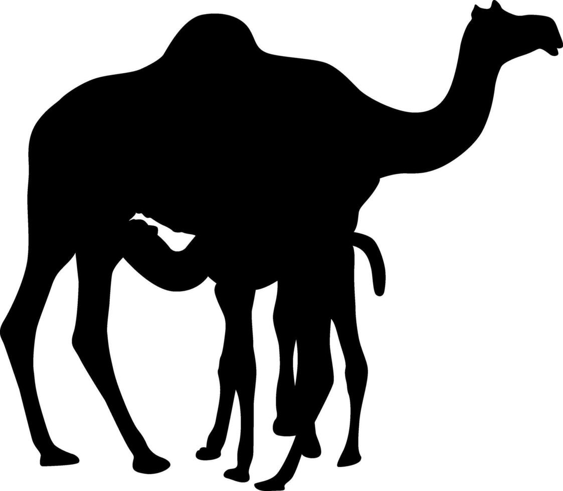 Camel Silhouette with Calf A Desert Scene vector