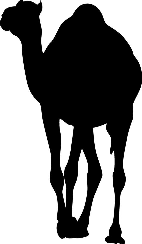 Silhouette of a Dromedary Camel vector