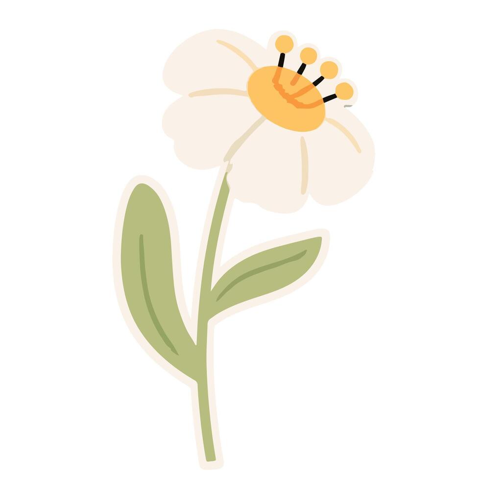 Delicate White Flower with Soft Green Leaves. vector