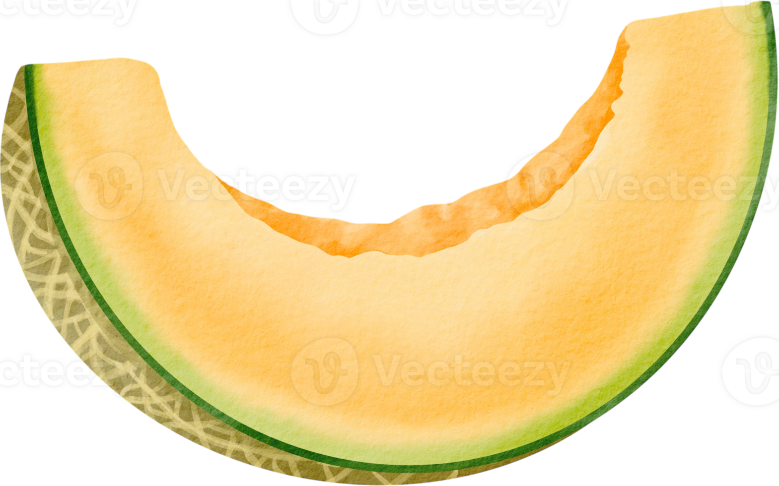 Melon slice painted for summer png