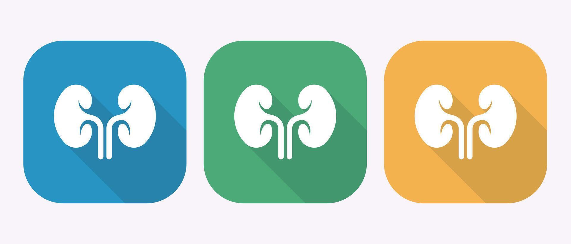 Colorful kidney icons in various colors vector