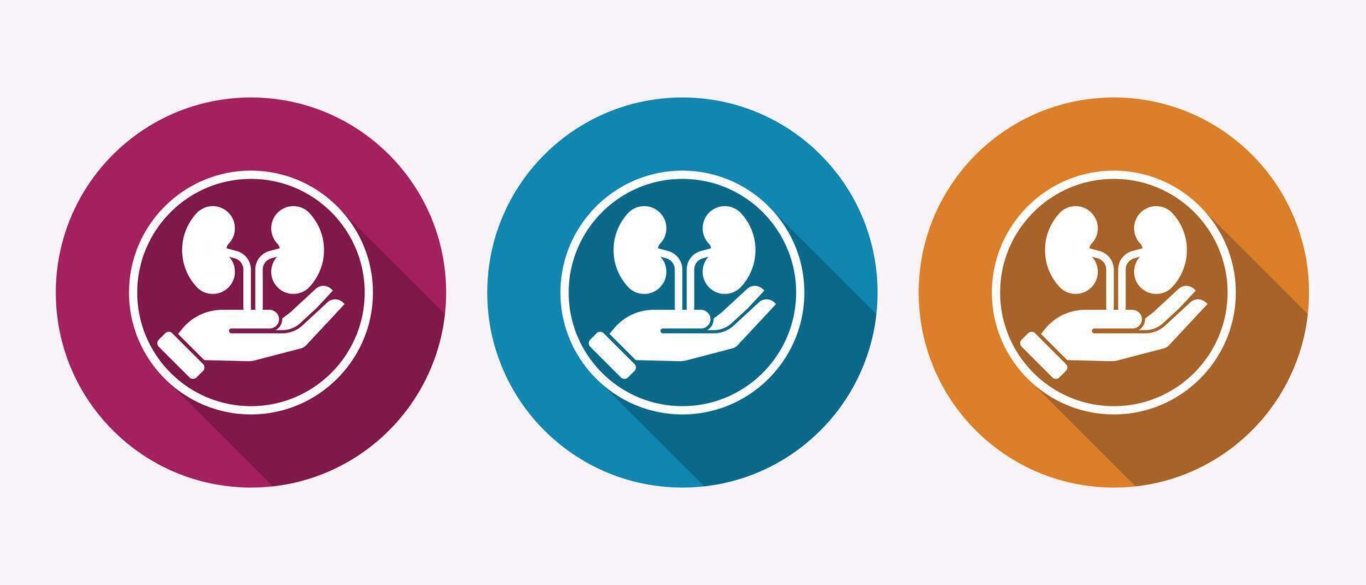 Colored kidney health icons in circles vector