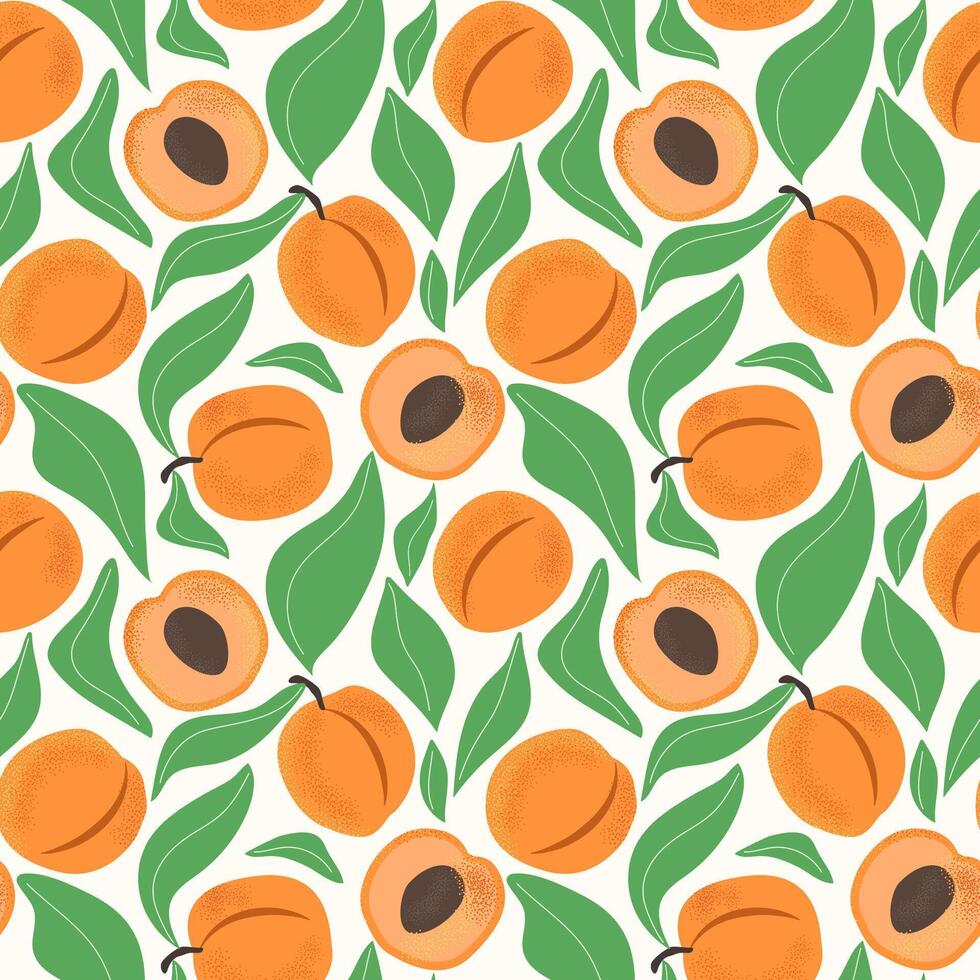 Seamless pattern with ripe apricot fruit and green leaves. Fresh farm produce design. Abstract botanical background for food packaging or textile print. vector