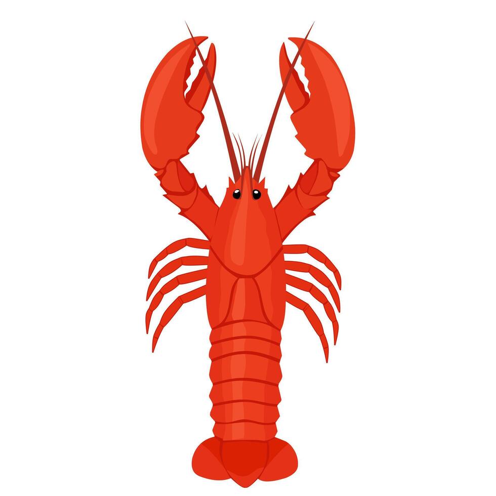 red lobster illustration in a flat design, viewed from the front. Ideal for seafood menus, restaurant icons, marine graphics, and culinary themes vector