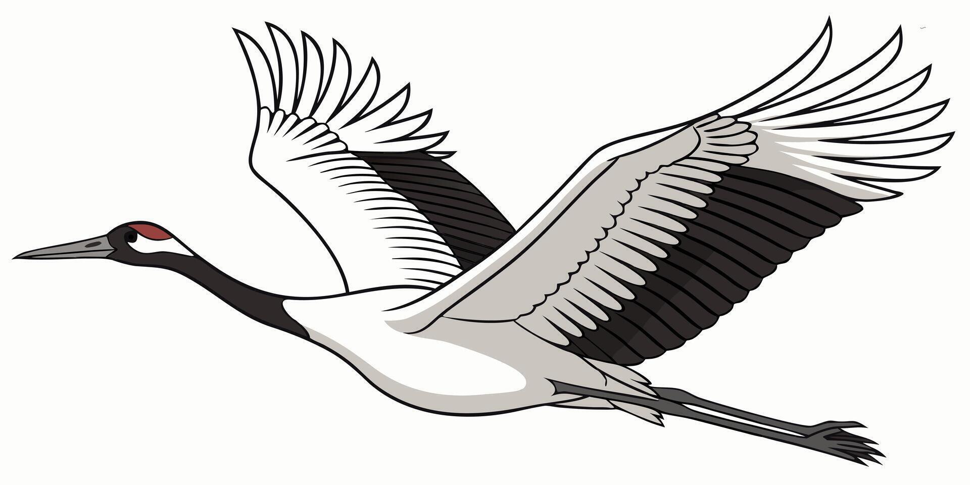 Stunning Red Crowned Crane Flying Graceful Bird Illustration Wildlife Design Element vector