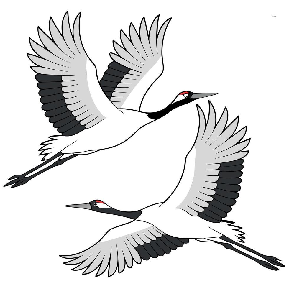 Two graceful red crowned cranes soaring through the sky in a beautiful minimalist illustration vector
