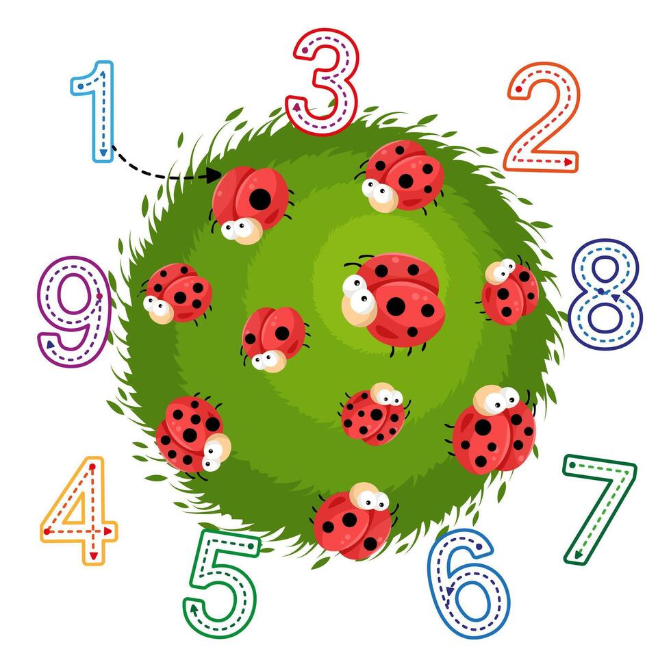 Kids game mathematic. Writing practice. Cute ladybugs. Tracing numbers. Logic lessons. Preschool exercise. Educational cards for children vector