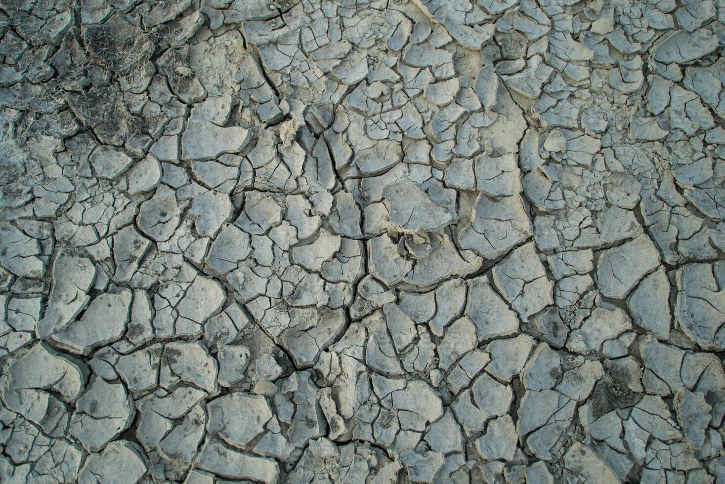 Cracks have appeared in the ground due to lack of rain for many days photo