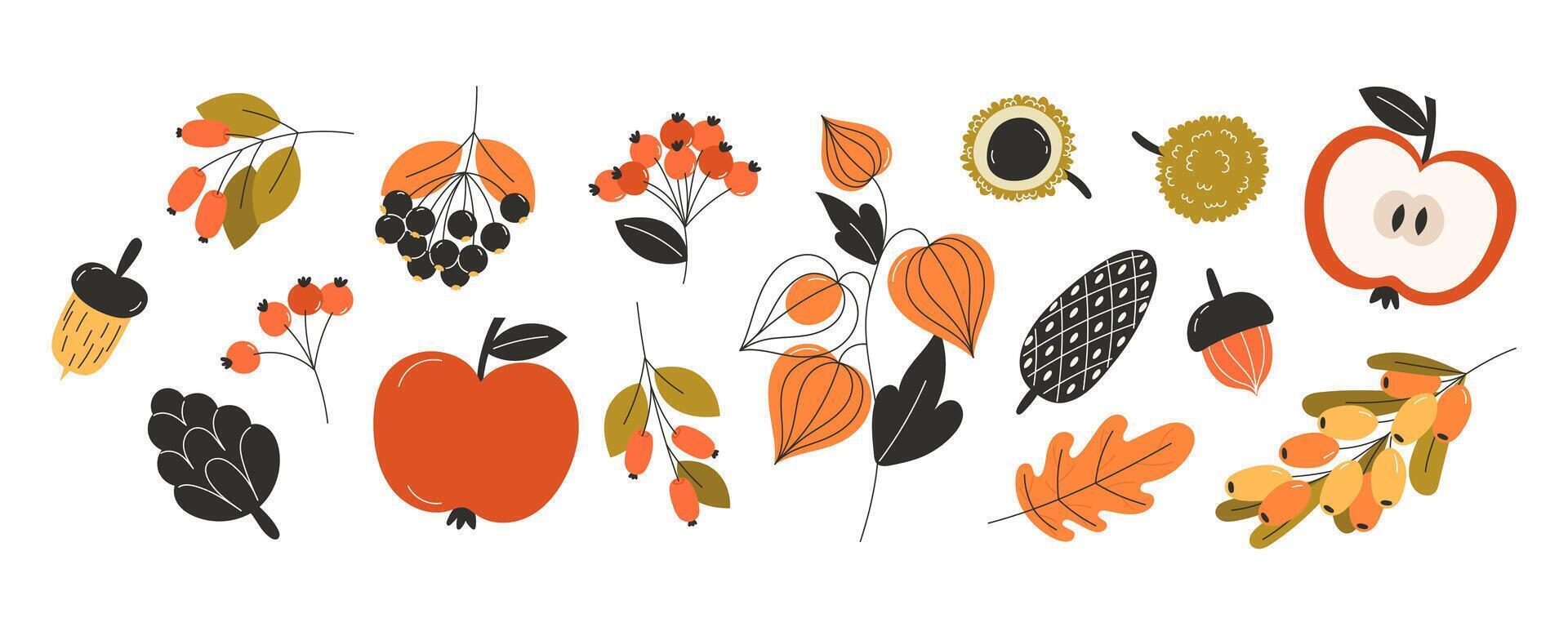 Large collection of autumn fall fruits berries and nuts in flat style featuring apples red berries acorns leaves and seasonal harvest elements for decorative design vector