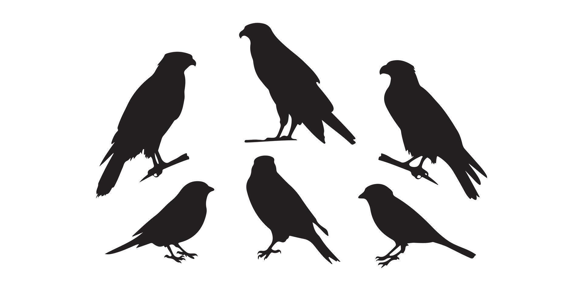 Crow Silhouettes in Flying and Landing Positions vector