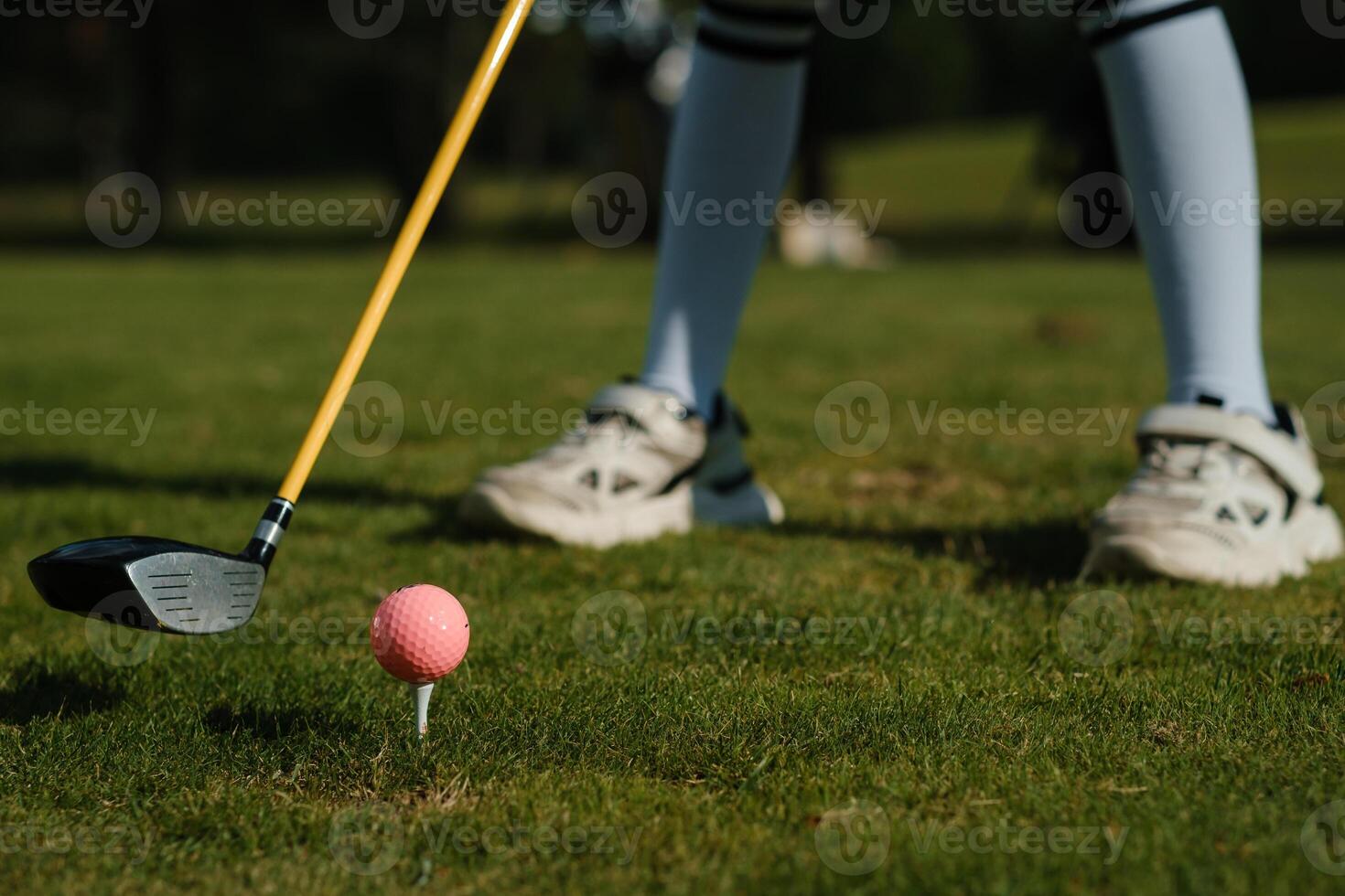 Golf swing practice with a pink ball on a grassy course in bright sunlight featuring a player in comfortable attire and shoes photo
