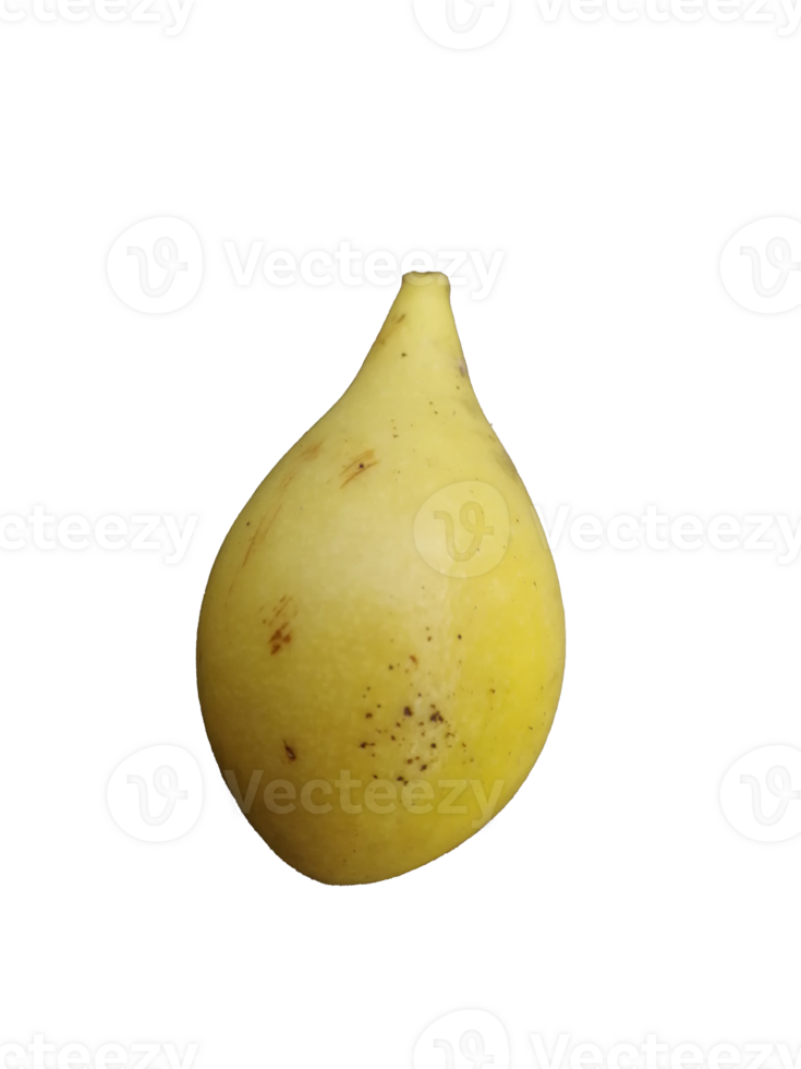 Ylang Ylang fruit isolated on a transparent background png