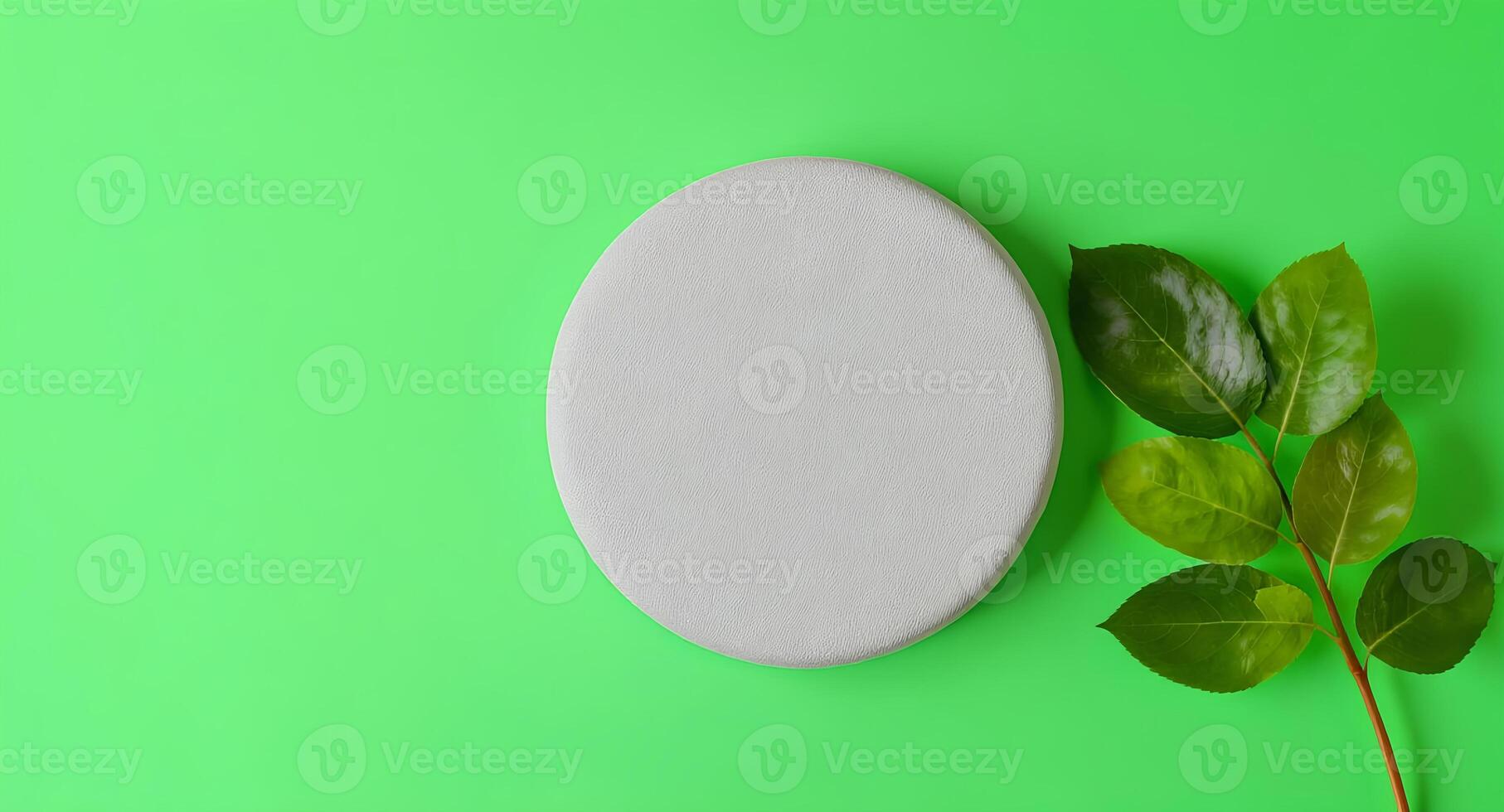 A white oval with a leaf on a green background photo