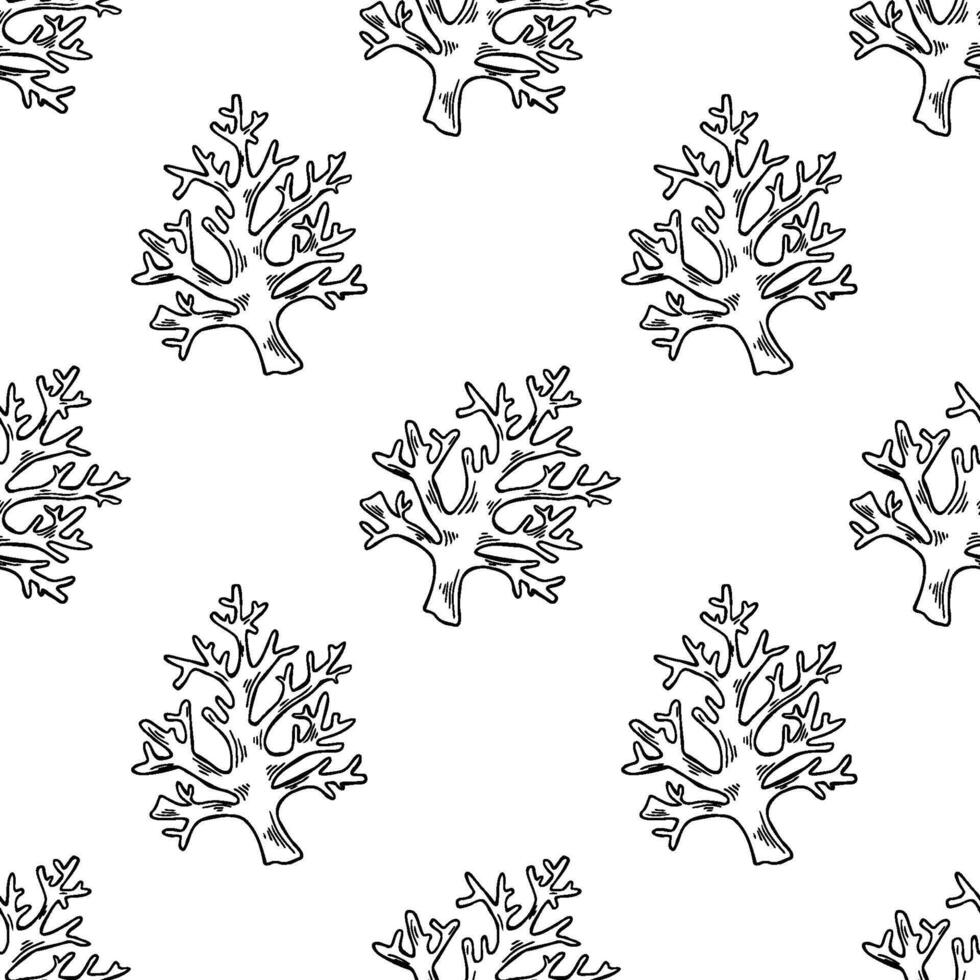 Coastal coral, seamless pattern line art featuring hand drawn nautical elements for a unique western aesthetic vector