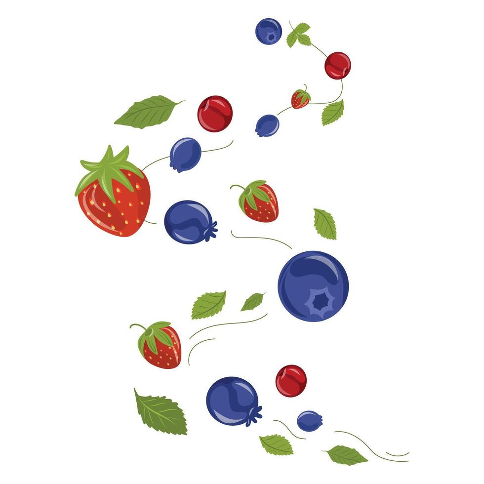 Berries and leaves wind, spiral windy twirls illustration. Strawberry, juneberry, cherries swirl vector