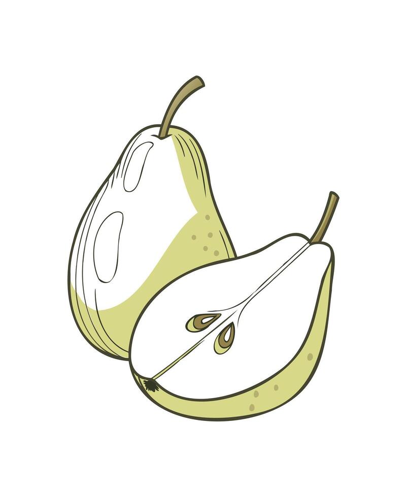 Simple Pear Illustration Half Sliced and Whole vector