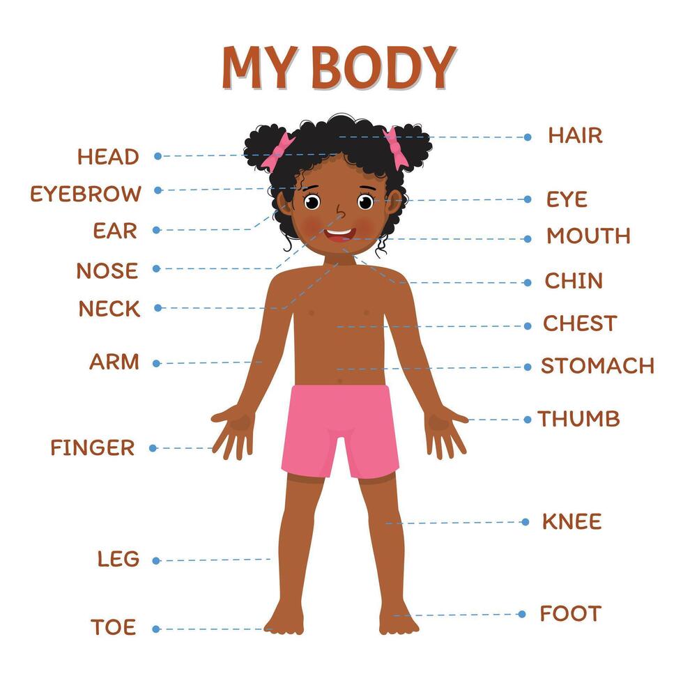 Body part of little African little girl anatomy poster with diagram text label chart for kids learning educational purpose vector