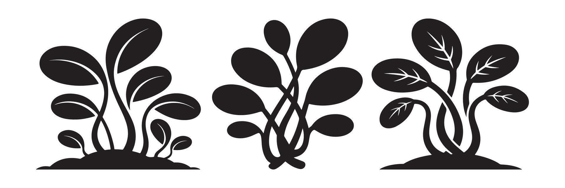 Black silhouettes of leafy plants growing from soil growth vector