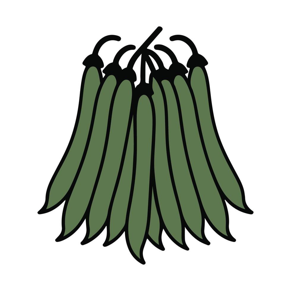 Green bean bunch beans food vector