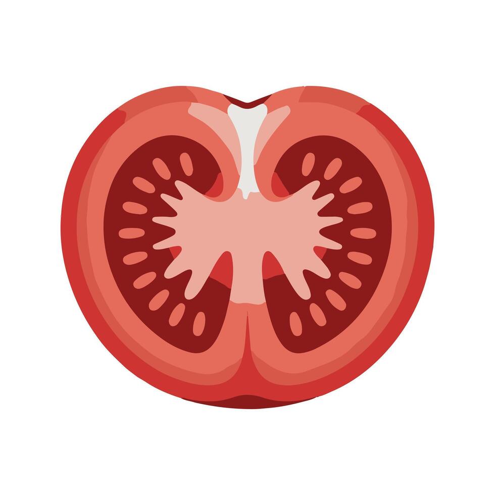Red tomato slice with seeds food vector