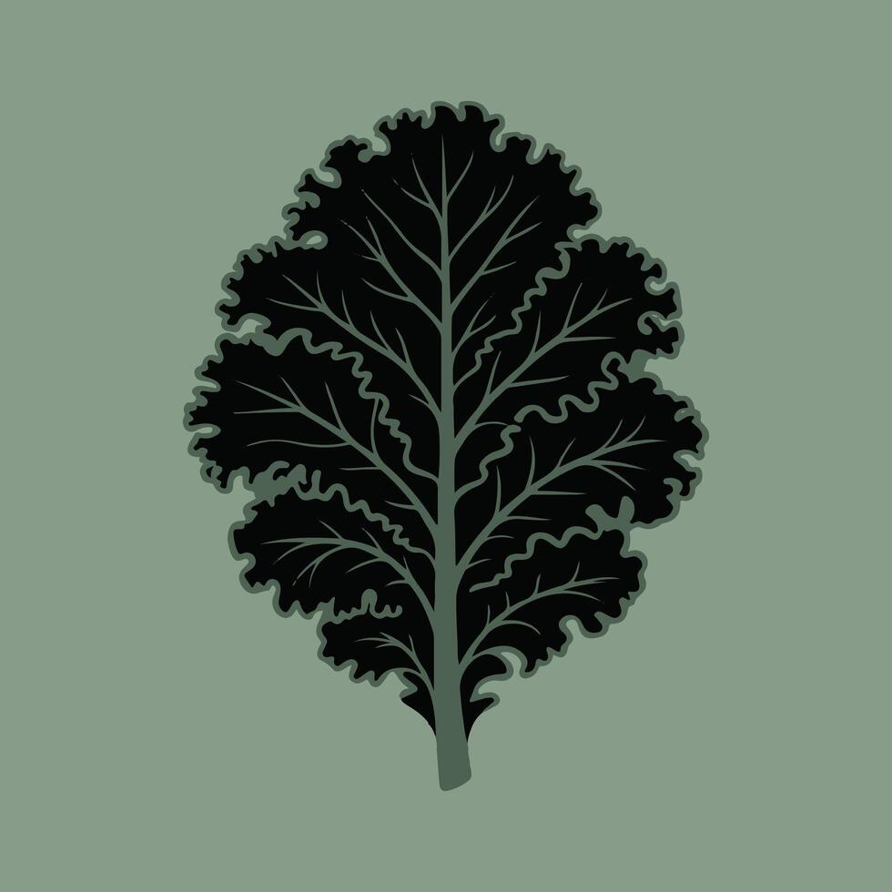 Black kale leaf with green veins on muted green background vector