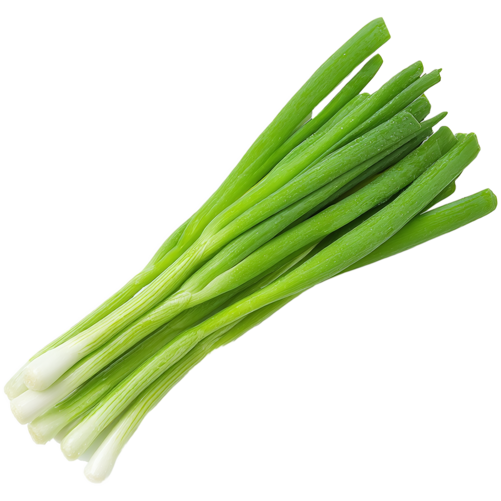 green onions on a transparent background png