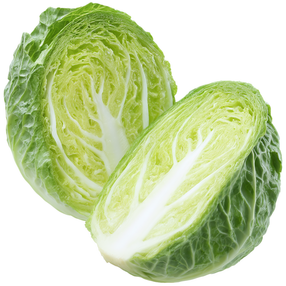 Fresh green cabbage isolated on transparent background png