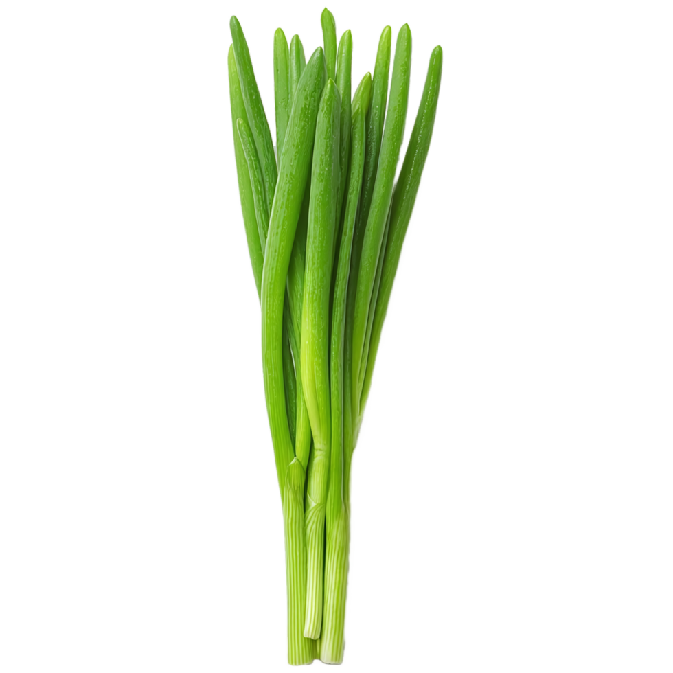 Fresh green spring onion isolated on transparent background png