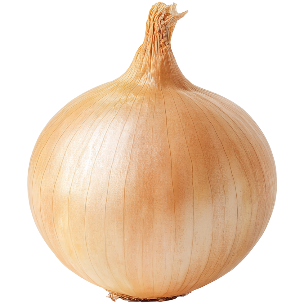 an onion on a transparent background png