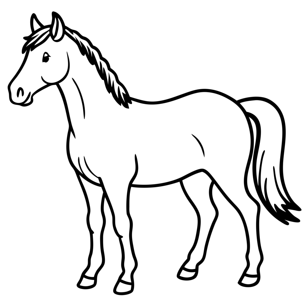 Horse on transparent background png