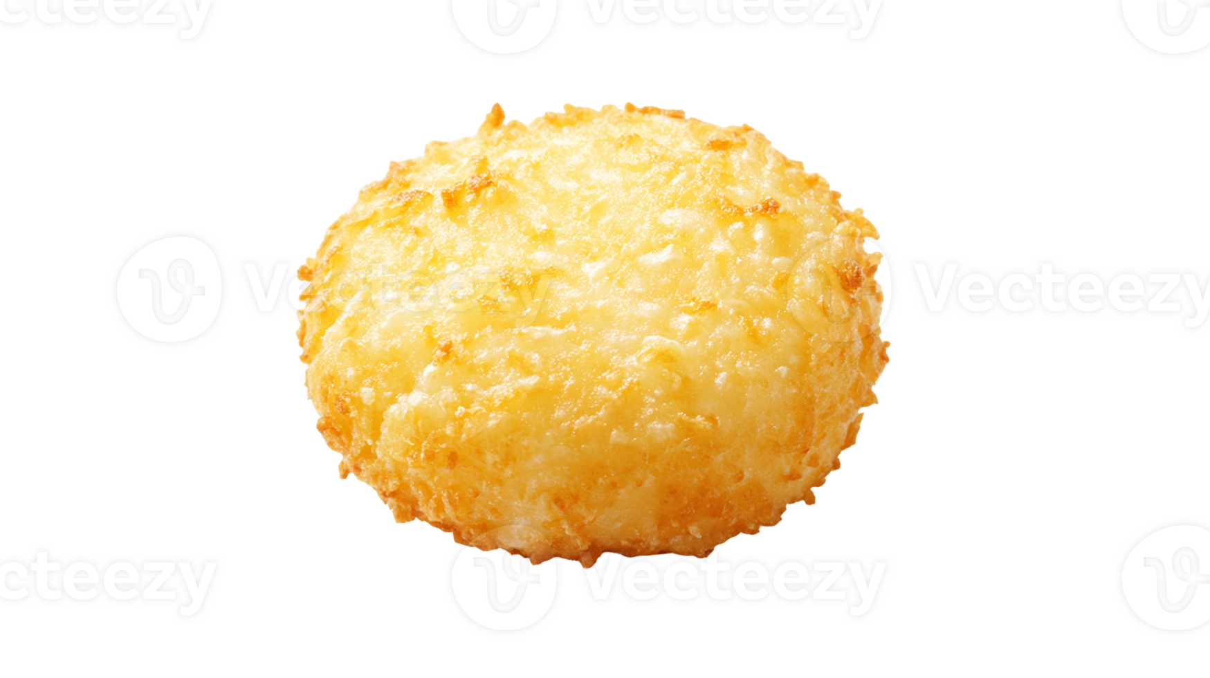 Crispy Golden Brown Round Food Item on Transparent Background png
