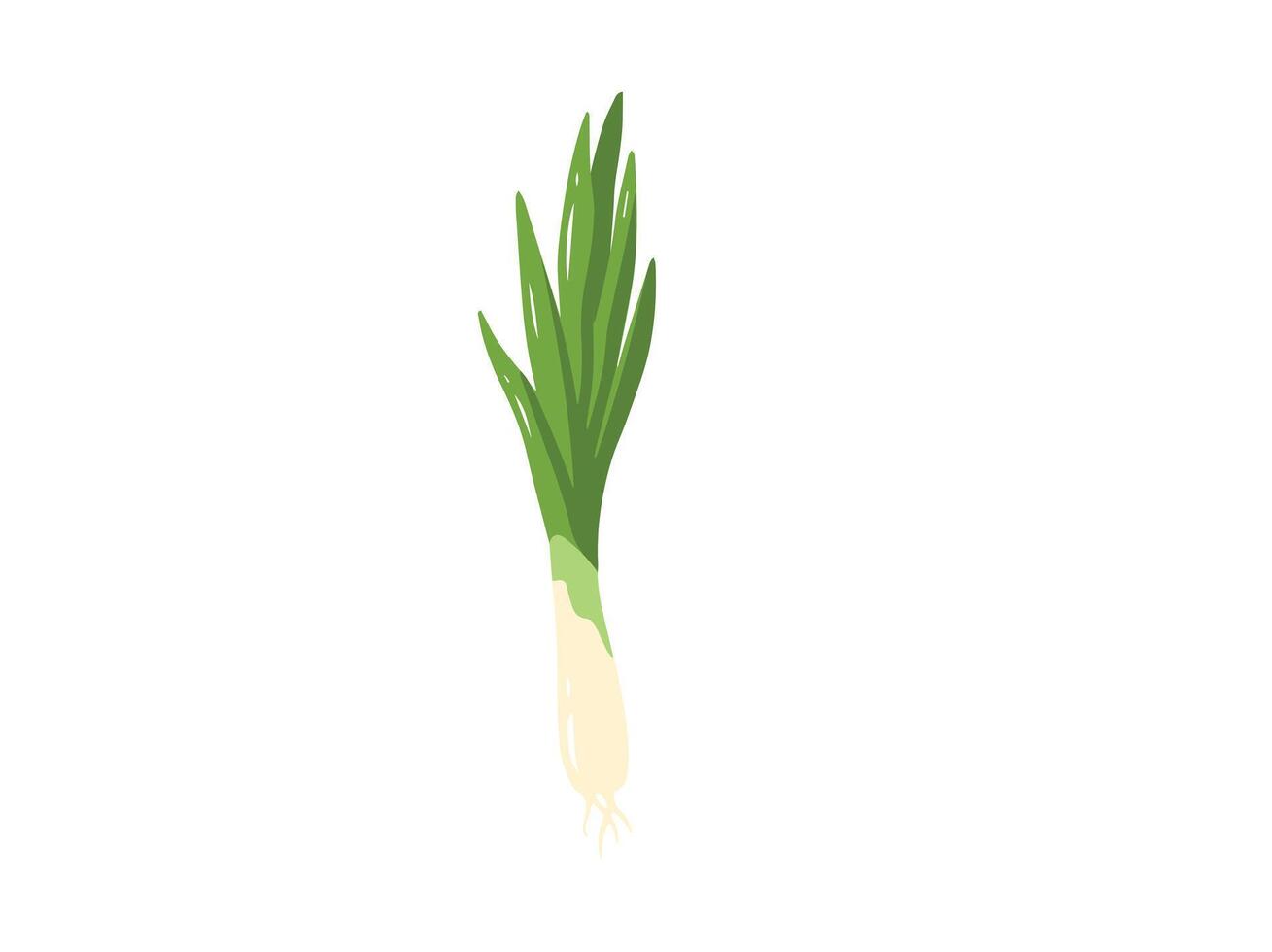 Leek Vegetable Cartoon Clip Art vector