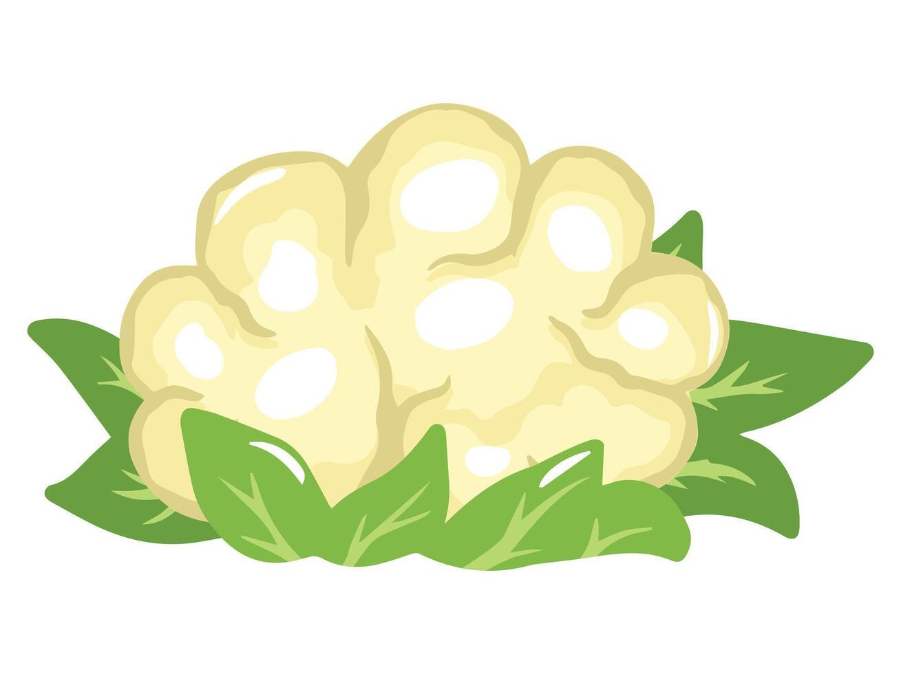 Cauliflower Vegetable Cartoon Clip Art vector