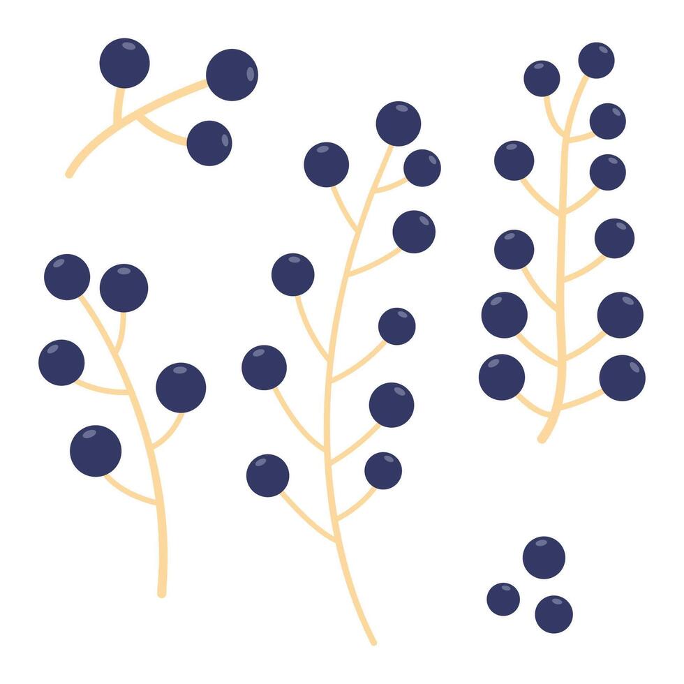 Bunch of blue berries, hand-drawn. Cosy autumn set. illustration. vector