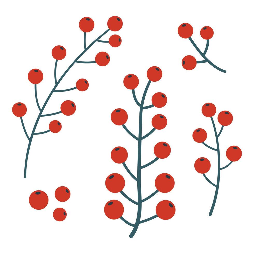 Bunch of red berries, hand-drawn. Cosy autumn set. illustration. vector