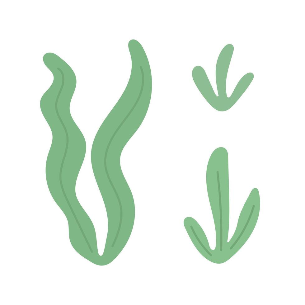 Minimal seaweed and kelp leaves in flowing green underwater shapes, great for ocean foliage illustrations, sea life backgrounds, and ecological marine scenes vector