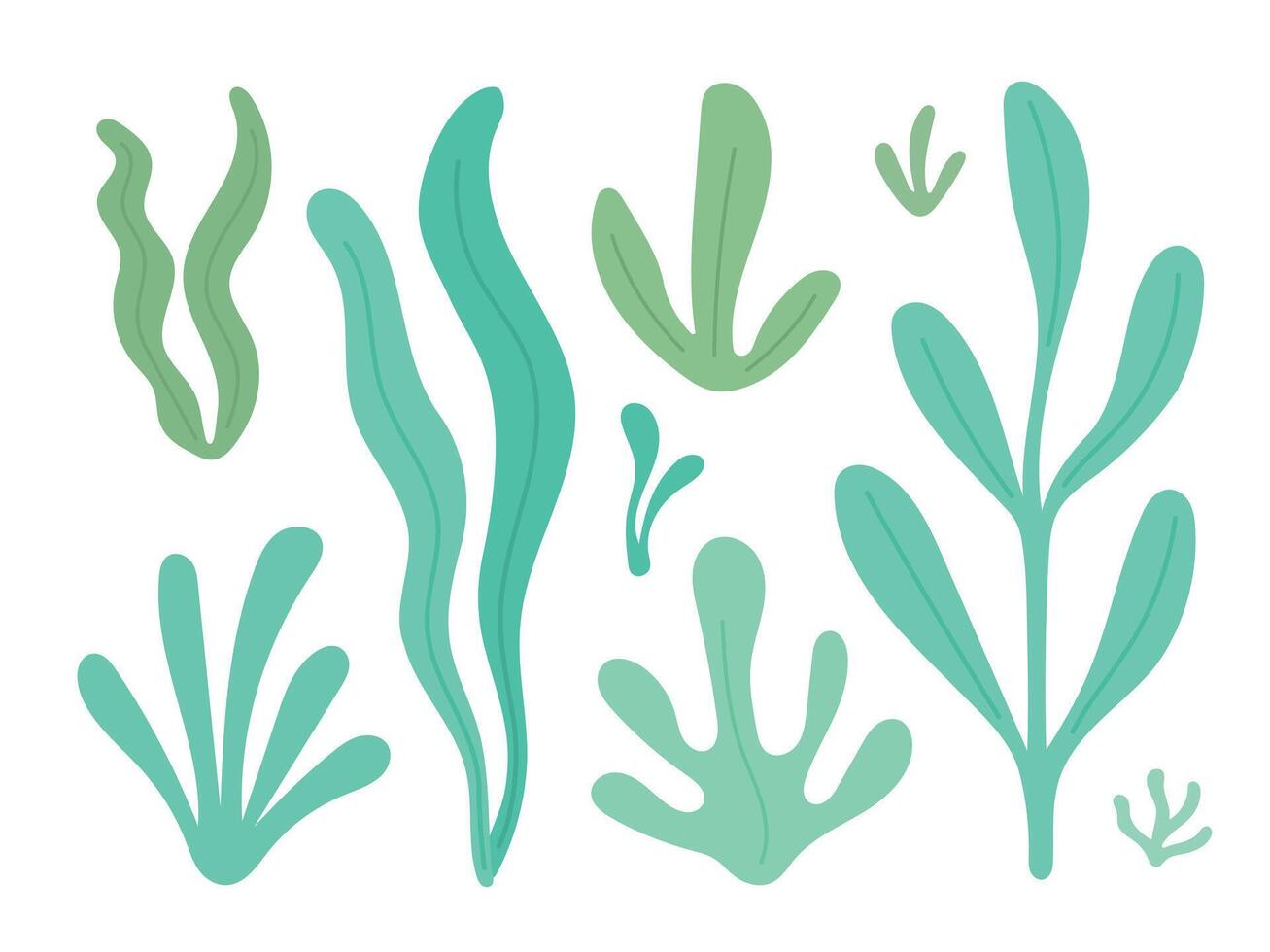 Seaweed collection with flowing green kelp and underwater leaves offers a clean ocean foliage design for marine themes or eco graphics vector