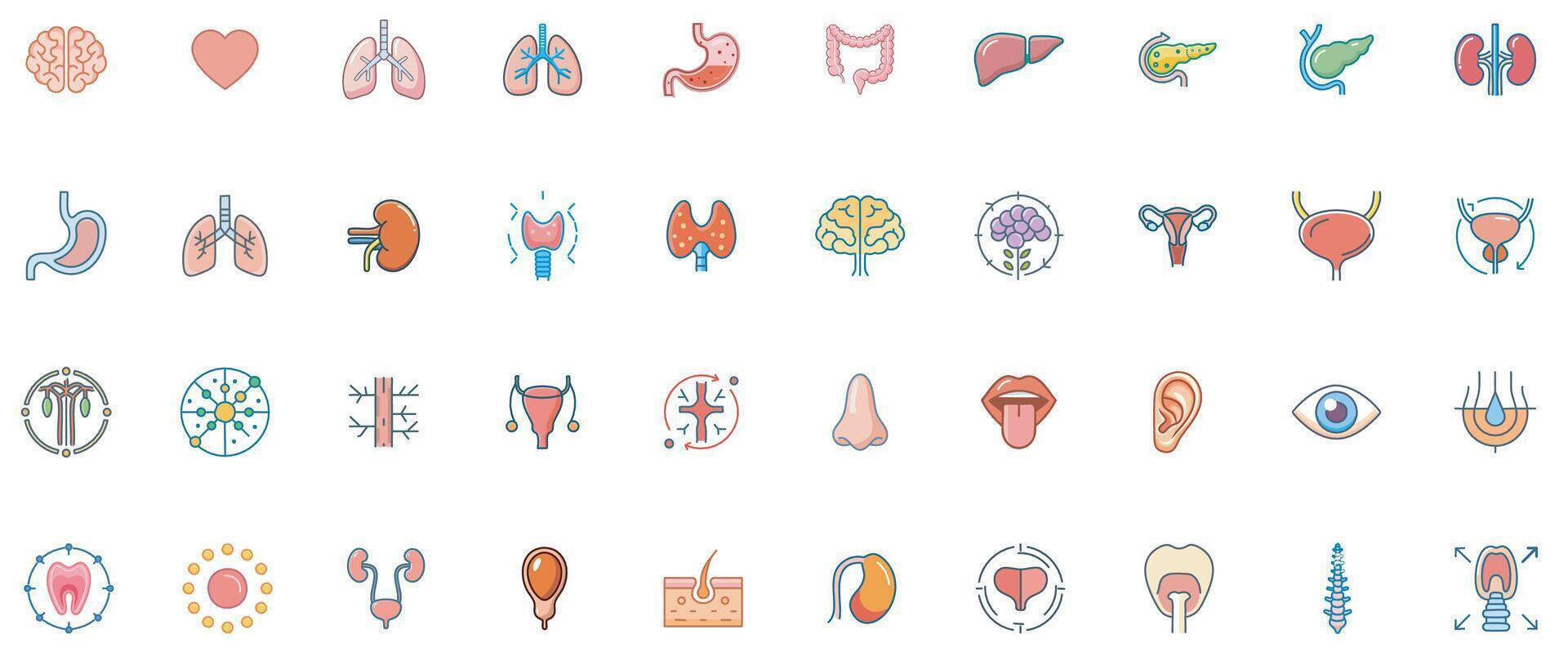 Human Organs Color Icon Set Detailed Medical Anatomy Icons for Health and Biology Design vector