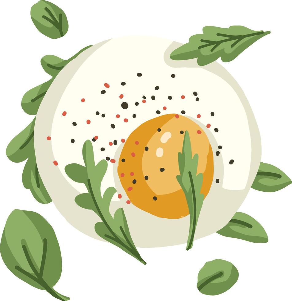 Poached Egg with Arugula and Spices vector