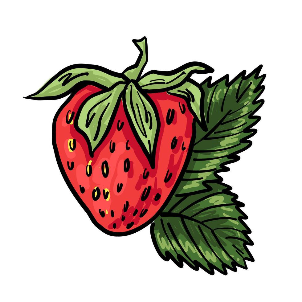 Hand-drawn ripe red strawberry with detailed green leaf. Great for packaging, stickers, food labels, and botanical clipart sets. vector