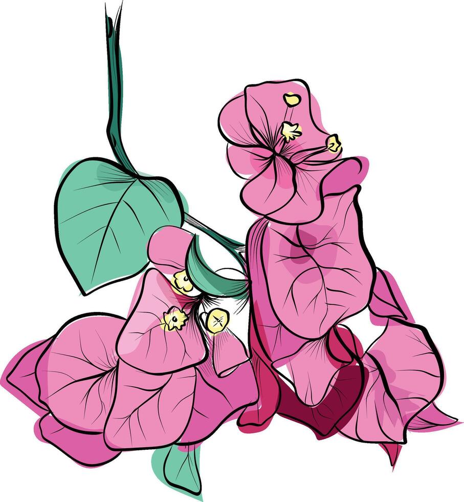 Hanging tropical bougainvillea bouquet drawing vector