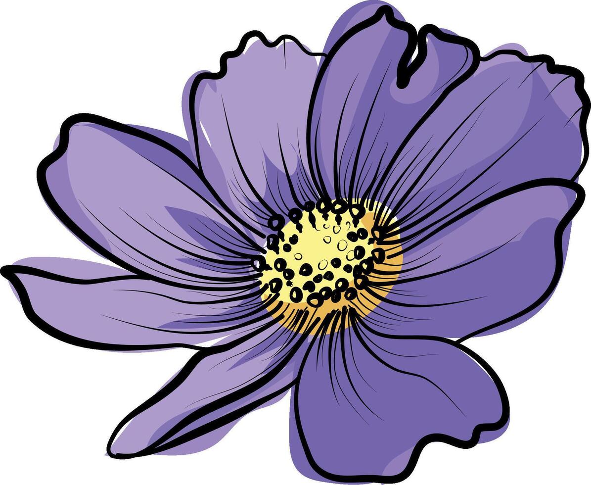 Violet cosmos flower hand drawn in sketch style vector