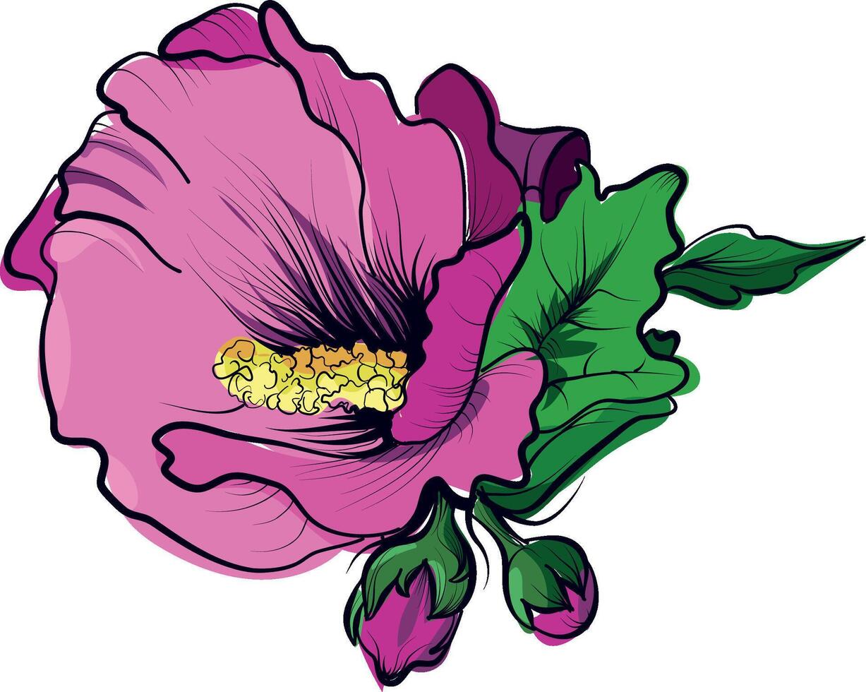 Pink hibiscus flower with buds and green leaves vector
