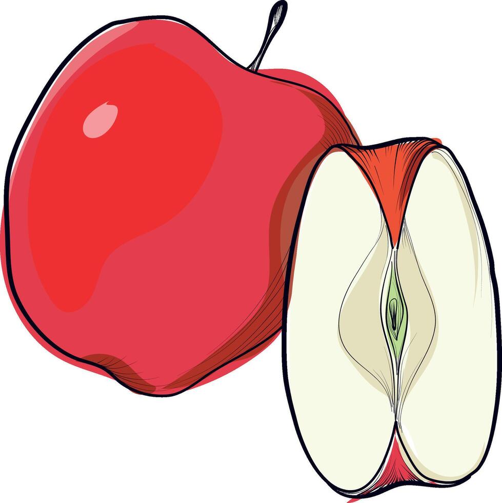 Red apple and apple half slice illustration vector