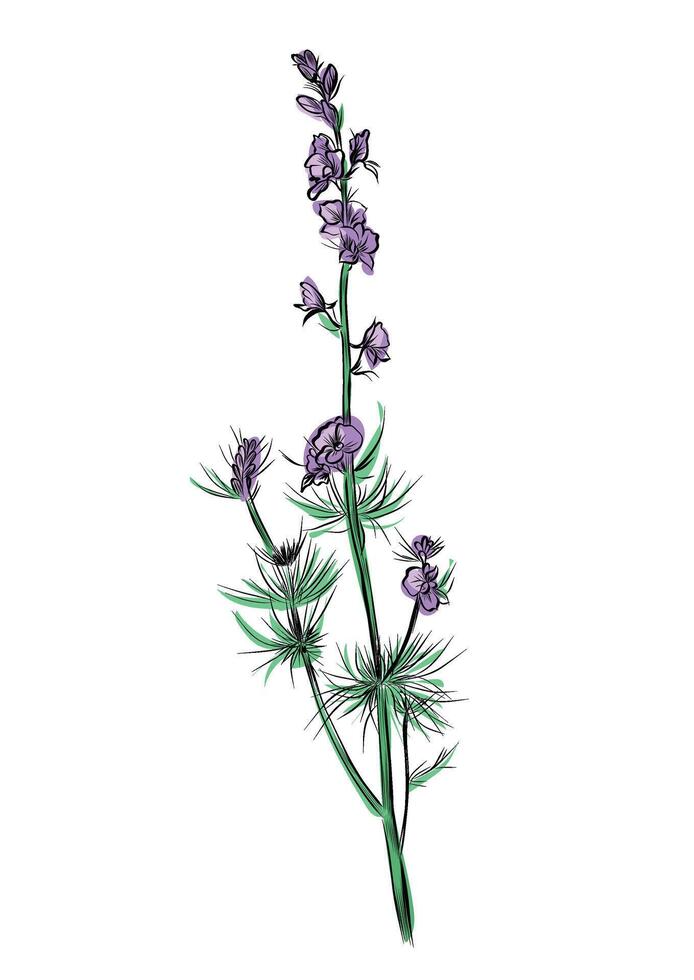 Delicate pink wild larkspur branch vector
