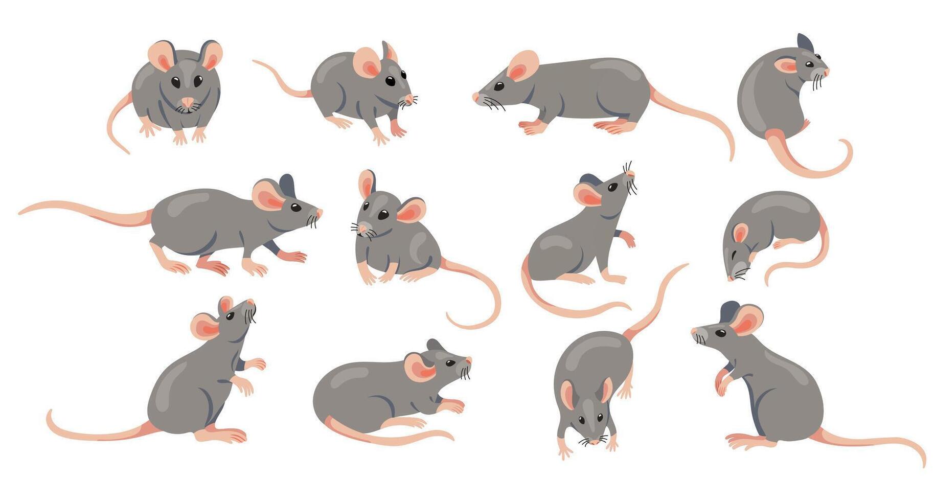 Mouse animal. Cute cartoon laboratory mouse and rat characters, funny gray rodent wildlife fauna zoo creatures in different poses. mice and rats flat set vector